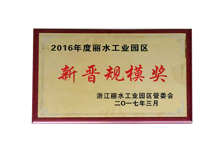 2016年新晉規(guī)模獎(jiǎng)